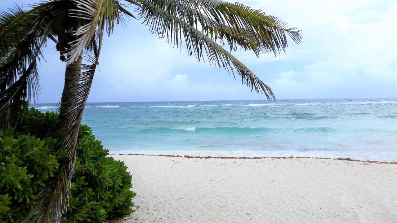 Riviera Maya Luxury Oceanfront Condo Akumal Exterior foto